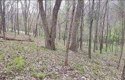 1500 Summit On Pond Lane, Wildwood, MO 63038
