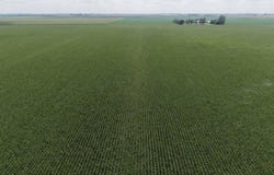 1 1111, Boyden, IA 51234