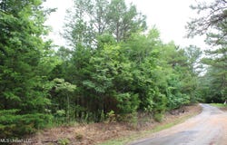 600 Jessie'S Road, Michigan City, MS 38647