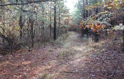 Hickory Grove Road, Nashville, AR 71852