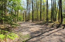 Stateline Trail, Marenisco, MI 49947-0000