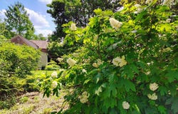 435 LAVEROCK ROAD, GLENSIDE, PA 19038
