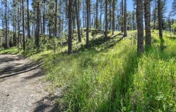 TBD St. Joseph Street, Silver City, SD 57702