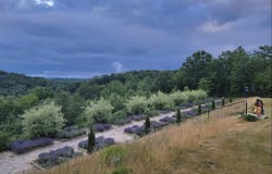 1461 N EAGLE HIGHWAY, LAKE LEELANAU, MI 49653