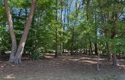 220 Ashford Manor, Williamsburg, VA 23188