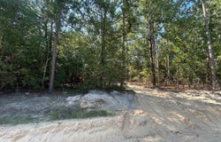 0 Gary Hallman Circle, Leesville, SC 29070