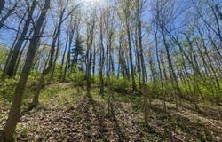 0 Broadway Street, Loveland, OH 45140