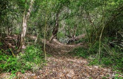 5577 Farm To Market Road 1697, Carmine, TX 78932