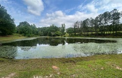 1340  Georgiana Highway, Brantley, AL 36009