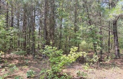 Lot 25 Buckhorn Church Road, Como, NC 27818