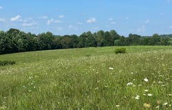 #18 Statham Rd, Liberty, KY 42539