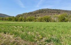 Lot #6 Happy Valley Lane, Knoxville, PA 16928
