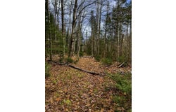 Kinstone Lane, Trenton, ME 04605