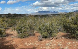 41 Storyteller Court, Sandia Park, NM 87047