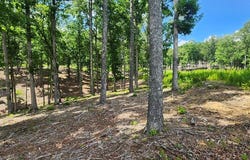 Lt 106 Split Creek Road, Morganton, GA 30560