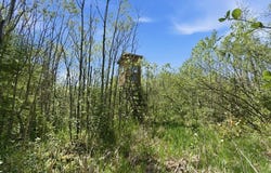 County Highway J, Deerbrook, WI 54424