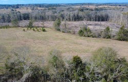 CR 5, OZARK, AL 36360