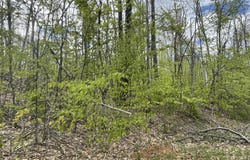 990-994 Arawak Pass, Gaylord, MI 49735