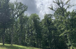 208 Heritage View Circle, Gurley, AL 35748