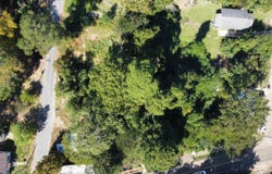 1310 Champagnolle, El Dorado, AR 71730