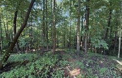 4028 Pleasant View Drive, Patrick Springs, VA 24133
