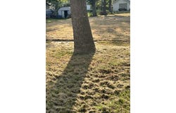 917 Ave I, Hawarden, IA 51023