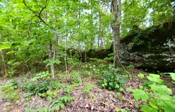 9999 Big Springs School Road, Irvine, KY 40336