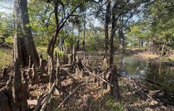 Moro Bay, Moro Bay, AR 72368