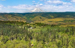 Evergreen Terrace, Mosier, OR 97040