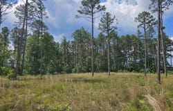 0 Newton Rd, Clinton, AR 72031