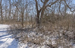 000 W Farm Road 94, Springfield, MO 65803