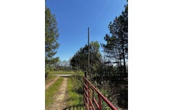 53 Center Point Loop, Vilonia, AR 72173