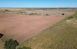 FM 262, Thalia, TX 79227