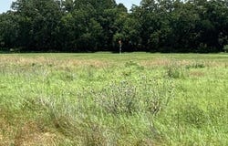 27142 Whispering Meadow Drive, Whitney, TX 76692