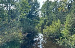 5 acres N Black River Road, Cheboygan, MI 49721