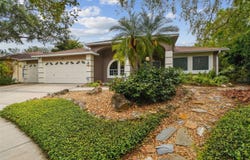 160 SAGE CIRCLE, CRYSTAL BEACH, FL 34681