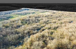 36330 County Road, Sumner, TX 75486