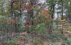 2693 W Mayfair Street, Baldwin, MI 49304