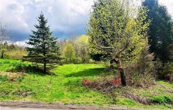 Sisson Hill Road, Unadilla, NY 13849