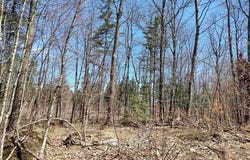 TBD Black Creek Road, Skanee, MI 49962