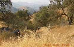 Iris Rd, Yokuts Valley, CA 93675