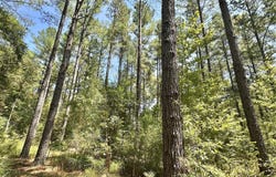 2 County Road 24, Enterprise, MS 39330