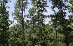 4901 County Road 263, Mount Judea, AR 72655