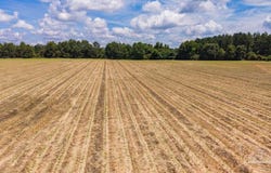 2732 Hwy 4, Jay, FL 32565