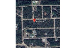 109 DOTTIE STREET, INTERLACHEN, FL 32148