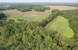 85+/- Acres - Antler Dr, Johnsonville, SC 29555