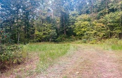 0 Highway V, Redford, MO 63665