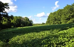 149 Ac M/L County X, Soldiers Grove, WI 54655