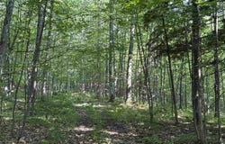 TBD Sartoris, Bessemer, MI 49911