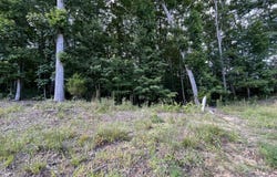 Lot 2 Keylon Hollow Road, Ten Mile, TN 37880